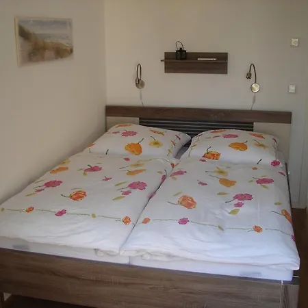 Apartment Haus Passat - *